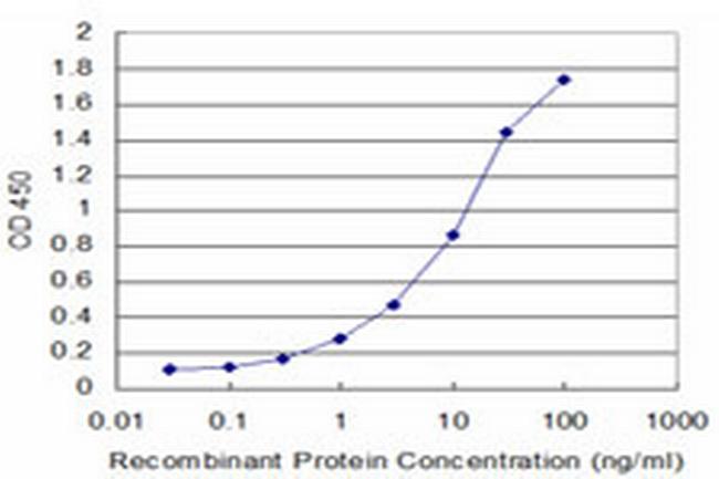 PPOX Antibody in ELISA (ELISA)