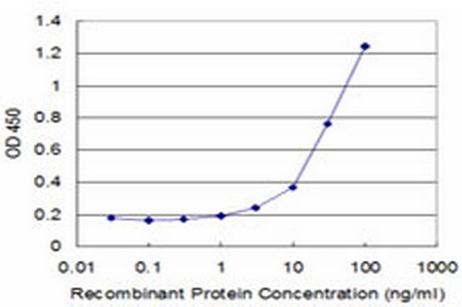 PPOX Antibody in ELISA (ELISA)