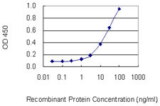 PPP4C Antibody in ELISA (ELISA)