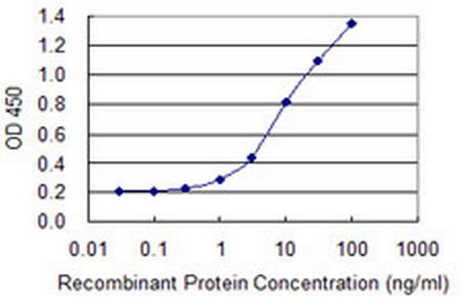 PPP6C Antibody in ELISA (ELISA)
