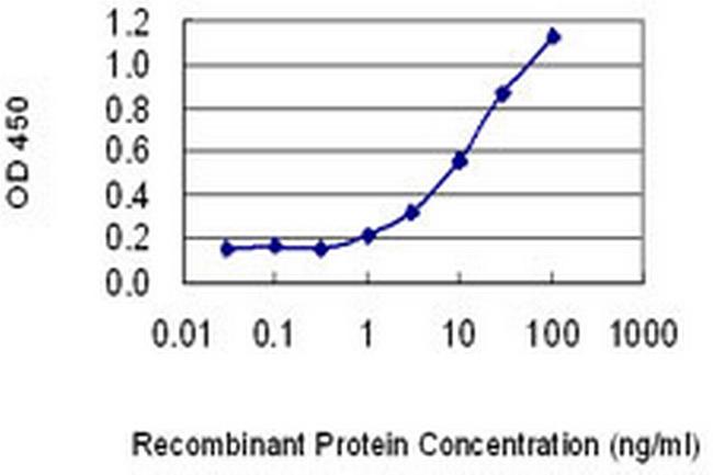PKIB Antibody in ELISA (ELISA)