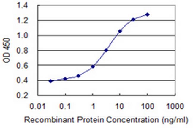 PRKCD Antibody in ELISA (ELISA)