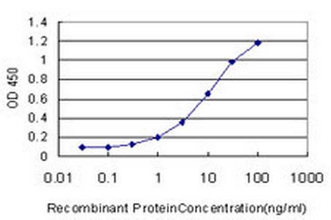 PRKG1 Antibody in ELISA (ELISA)