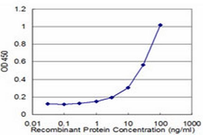 KLK10 Antibody in ELISA (ELISA)
