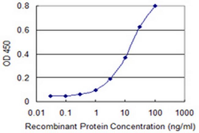 PTPRN2 Antibody in ELISA (ELISA)