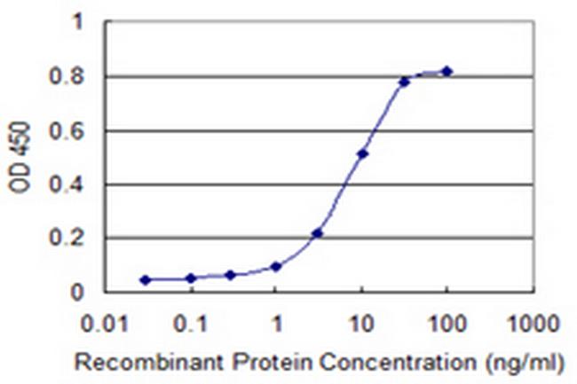 PTPRN2 Antibody in ELISA (ELISA)