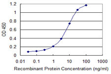 QDPR Antibody in ELISA (ELISA)
