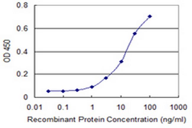 RBL2 Antibody in ELISA (ELISA)