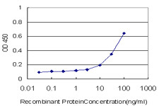 REG1A Antibody in ELISA (ELISA)