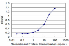 RET Antibody in ELISA (ELISA)