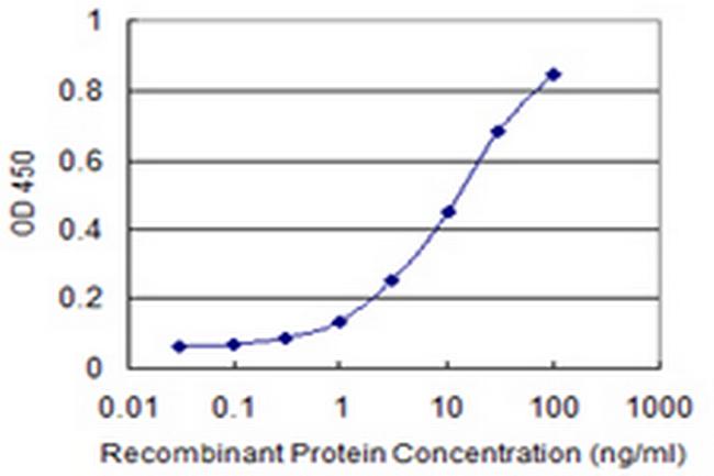 RING1 Antibody in ELISA (ELISA)