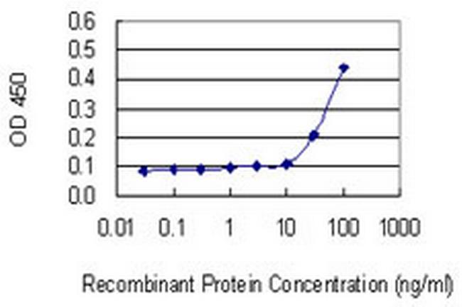 RPL18A Antibody in ELISA (ELISA)
