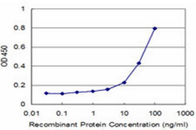 RPS27A Antibody in ELISA (ELISA)