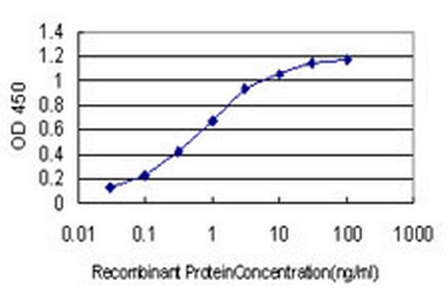RSU1 Antibody in ELISA (ELISA)