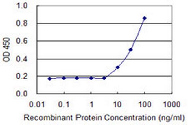 RSU1 Antibody in ELISA (ELISA)