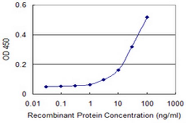 RXRB Antibody in ELISA (ELISA)