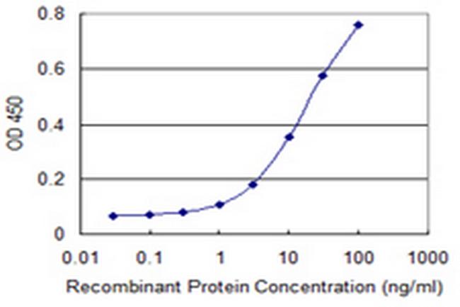 RXRB Antibody in ELISA (ELISA)