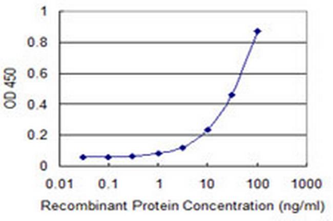 RXRB Antibody in ELISA (ELISA)