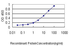 S100A4 Antibody in ELISA (ELISA)