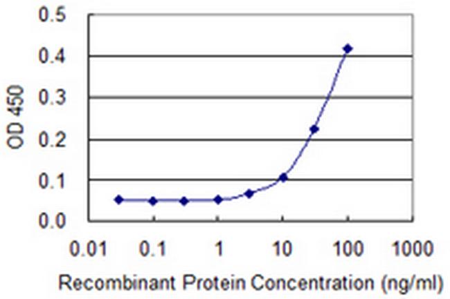 SCG5 Antibody in ELISA (ELISA)