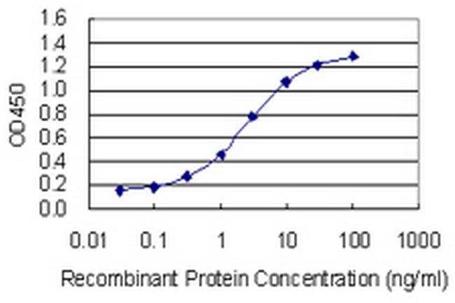 ITSN1 Antibody in ELISA (ELISA)