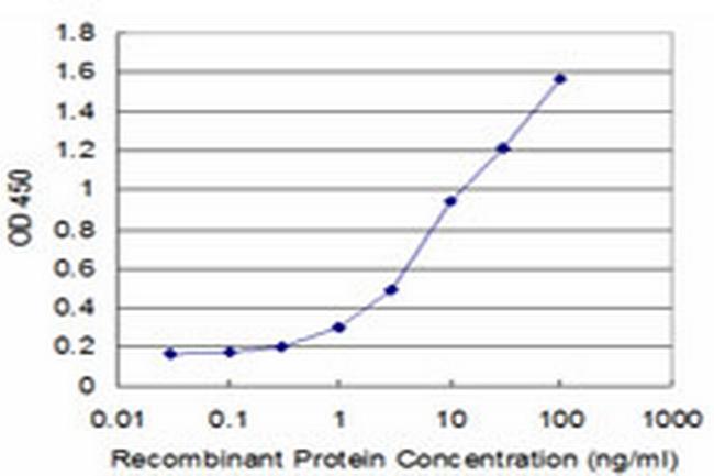 SLC2A4 Antibody in ELISA (ELISA)