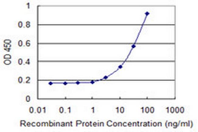SLC2A4 Antibody in ELISA (ELISA)