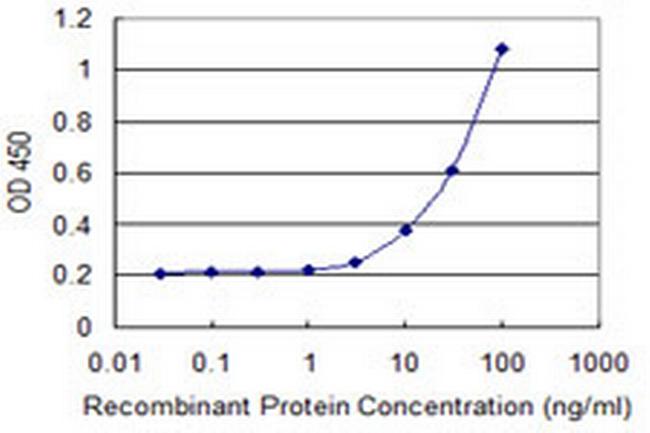 SLC2A4 Antibody in ELISA (ELISA)