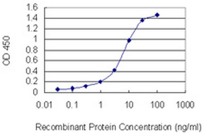 SUMO2 Antibody in ELISA (ELISA)