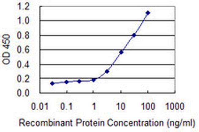 SNTB2 Antibody in ELISA (ELISA)