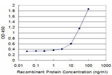 SORL1 Antibody in ELISA (ELISA)