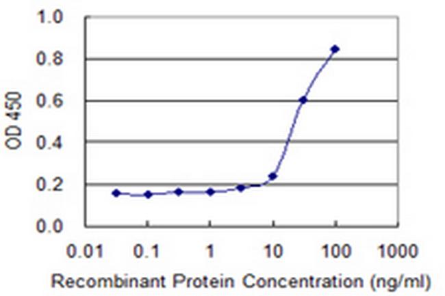 SPAG4 Antibody in ELISA (ELISA)