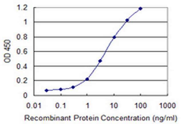 SRP54 Antibody in ELISA (ELISA)