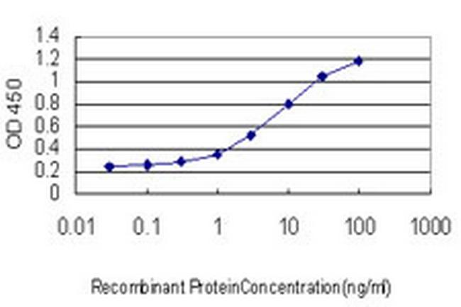 SSBP1 Antibody in ELISA (ELISA)