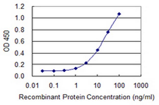ST13 Antibody in ELISA (ELISA)