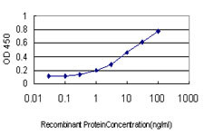STAT3 Antibody in ELISA (ELISA)