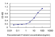 NEK4 Antibody in ELISA (ELISA)