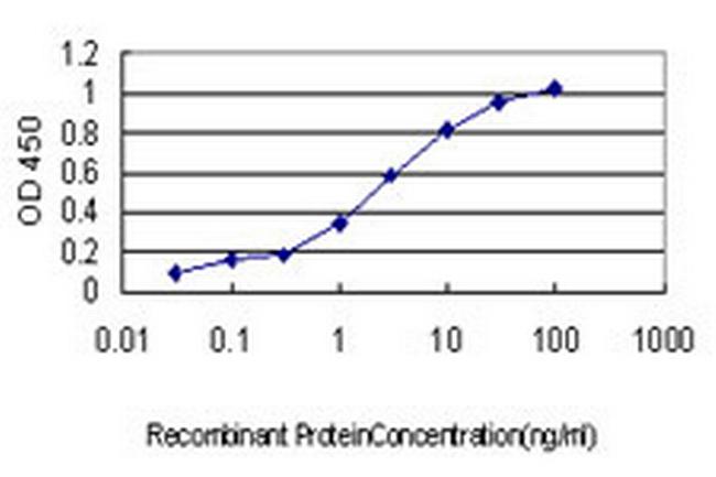 CDKL5 Antibody in ELISA (ELISA)