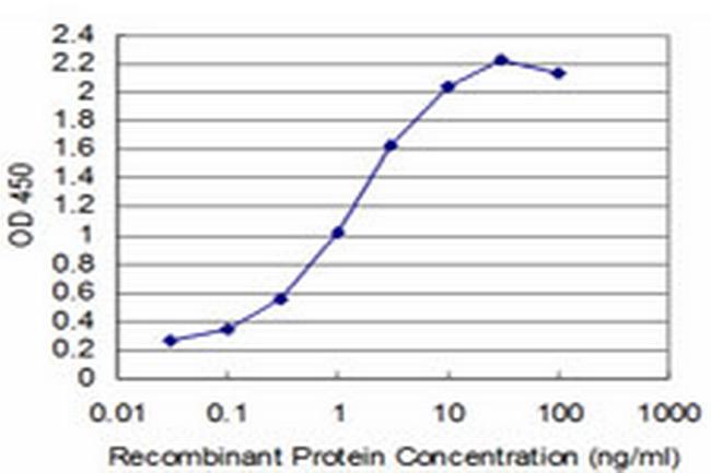 T Antibody in ELISA (ELISA)