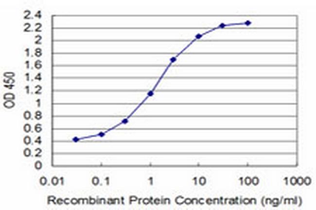 T Antibody in ELISA (ELISA)