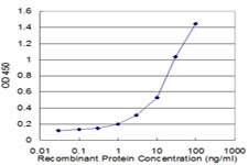 TAC3 Antibody in ELISA (ELISA)