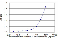 PRDX2 Antibody in ELISA (ELISA)