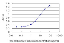 TLR2 Antibody in ELISA (ELISA)