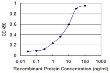 TNF Antibody in ELISA (ELISA)