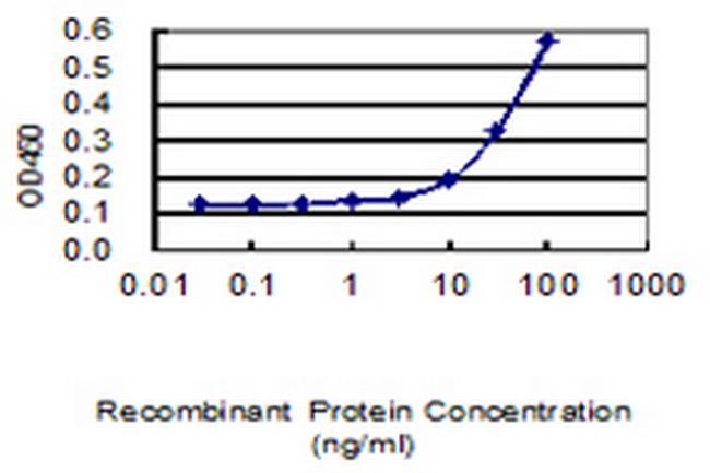 TNFAIP2 Antibody in ELISA (ELISA)