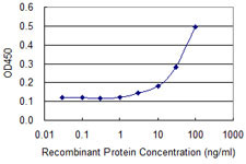 TP53 Antibody in ELISA (ELISA)