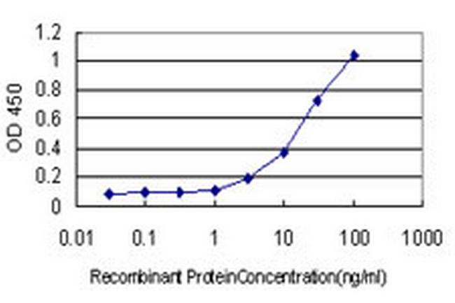TP53BP1 Antibody in ELISA (ELISA)