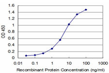 TXN Antibody in ELISA (ELISA)