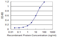 UQCRH Antibody in ELISA (ELISA)