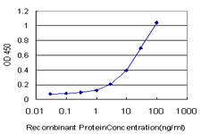 ZIC1 Antibody in ELISA (ELISA)